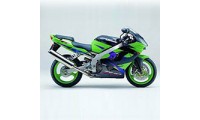 Meilleur Carénages Kawasaki ZX9R 2002-2003