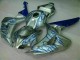 Bleu Flamme Argent Carénage Moto Honda CBR 1000 RR 06-07 Bleu Flamme Argent Carénage Moto Honda CBR 1000 RR 06-07