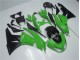 Vert Noir Carrosserie Moto Kawasaki ZX6R 09-12 Vert Noir Carrosserie Moto Kawasaki ZX6R 09-12